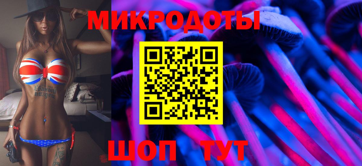 Тара  Галлюциногенные грибы MAGIC MUSHROOMS  Вход с VPN 